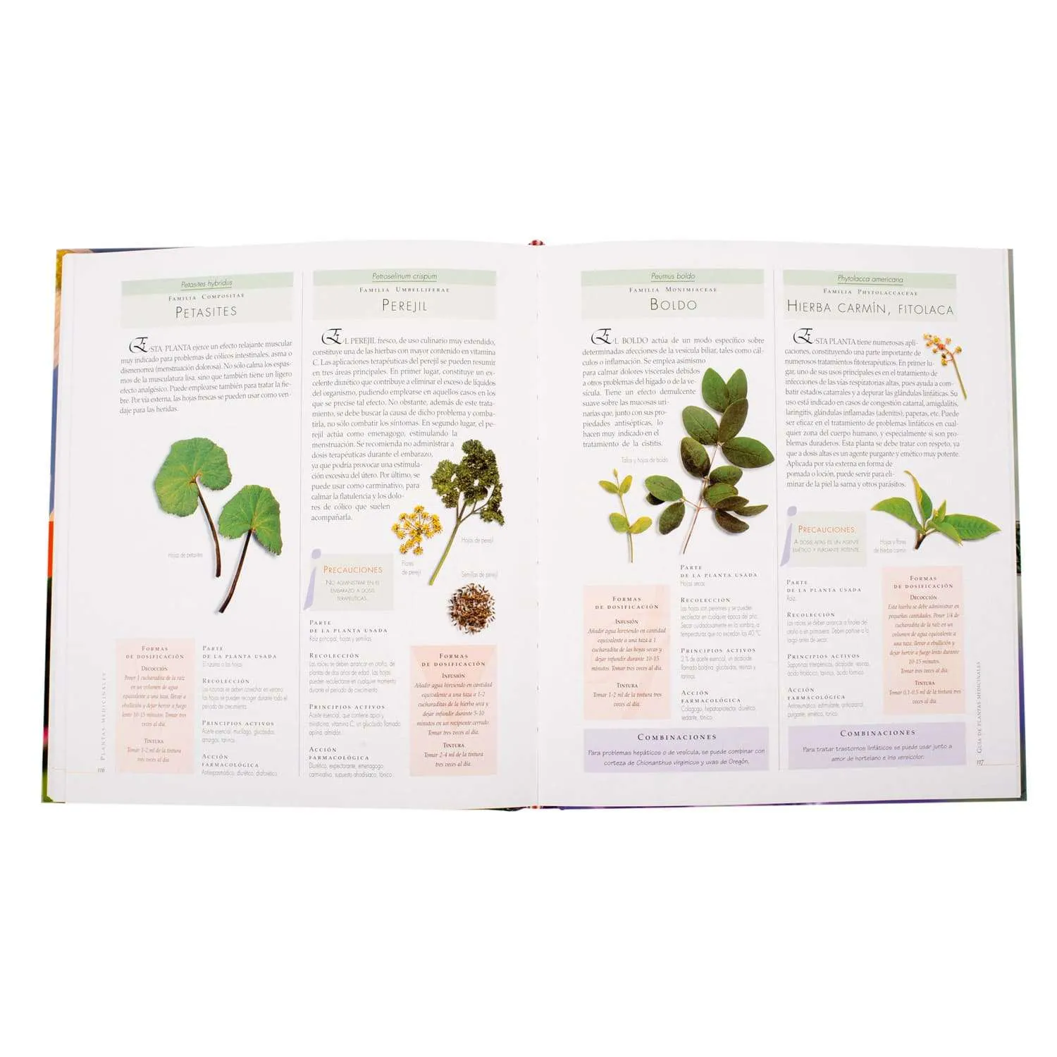 Atlas Ilustrado De Las Plantas Medicinales 1 Tomo - Imagen 3