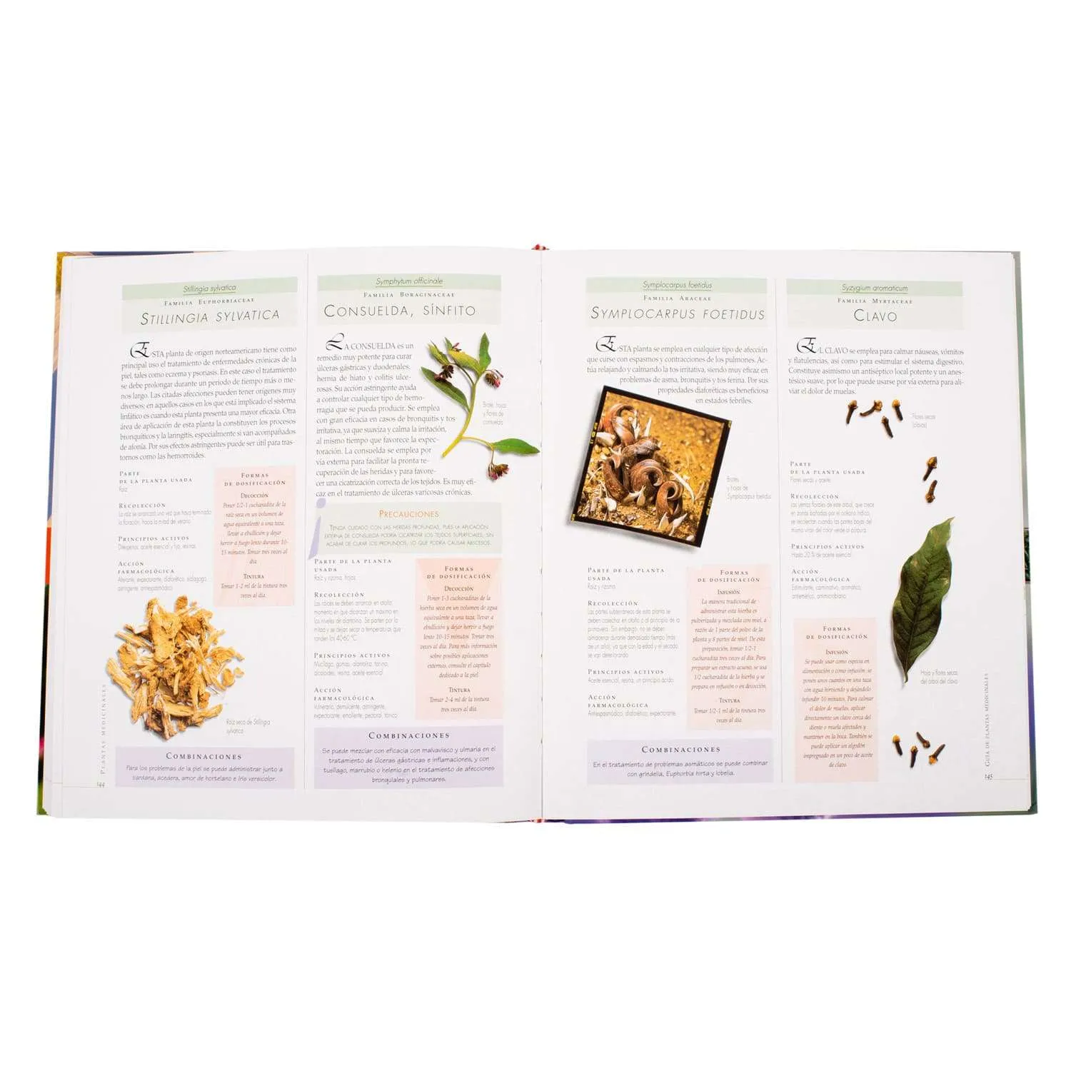 Atlas Ilustrado De Las Plantas Medicinales 1 Tomo - Imagen 4