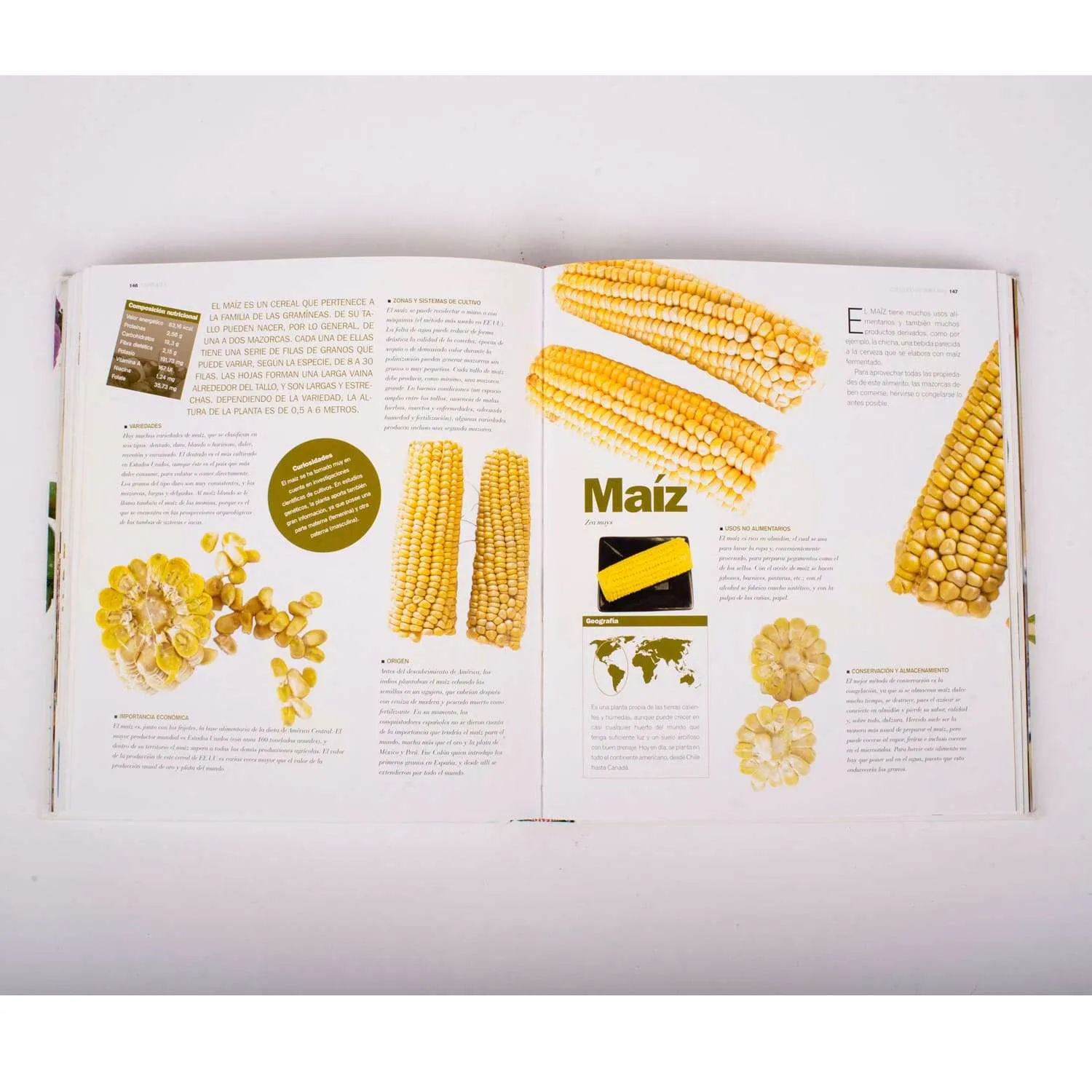 Atlas Ilustrado De Las Verduras 1 Tomo - Imagen 3