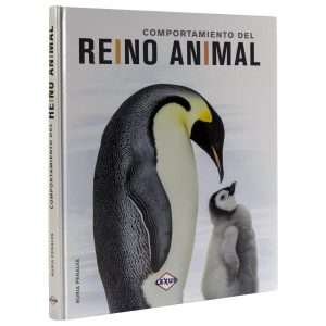 Comportamiento Del Reino Animal