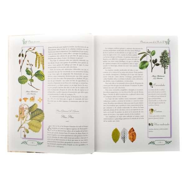Plantas Que Curan 1 Tomo - Imagen 2