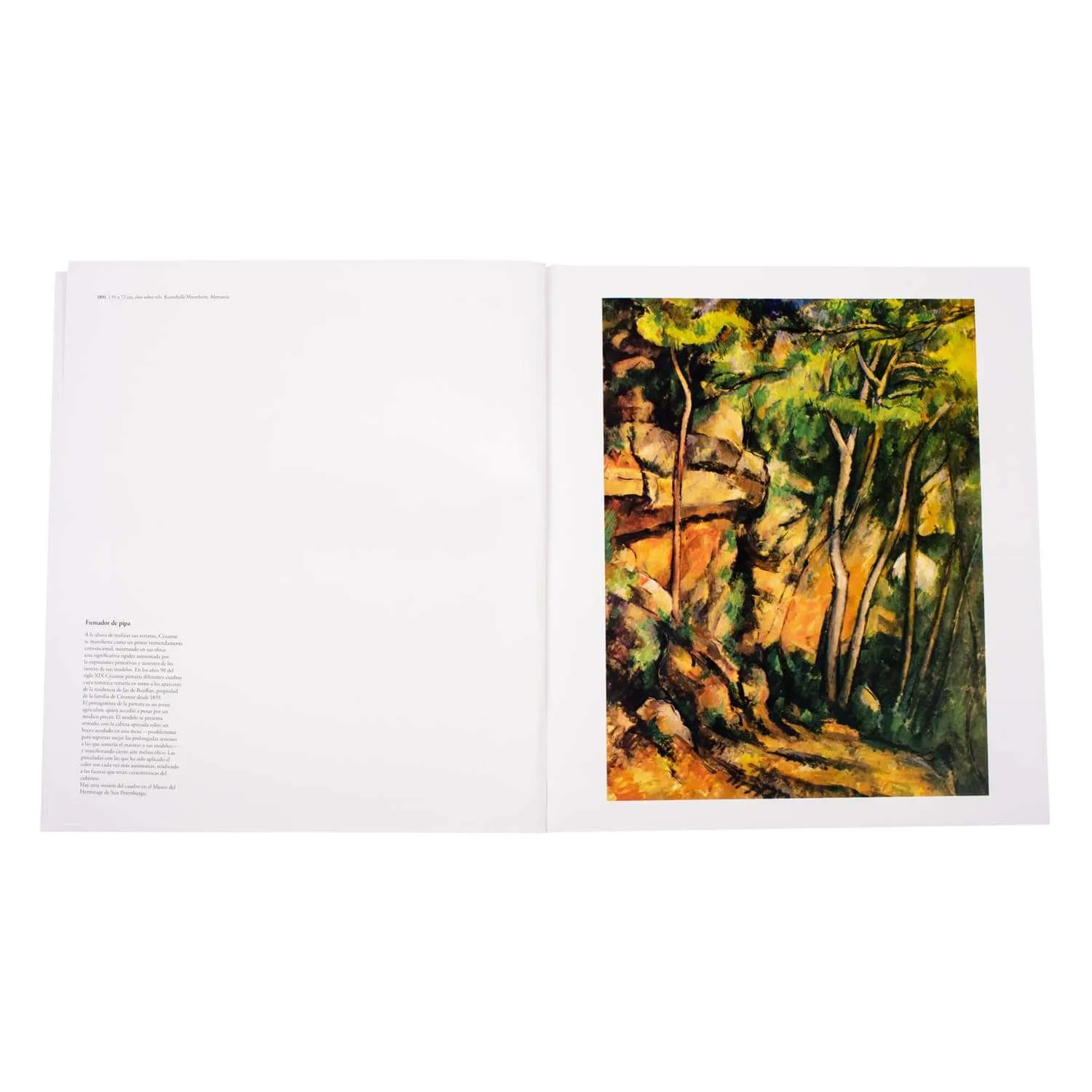Cézanne 1 Tomo - Imagen 4
