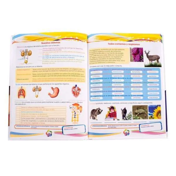Actividades Dinámicas Primaria 1 Tomo + Cd - Imagen 3