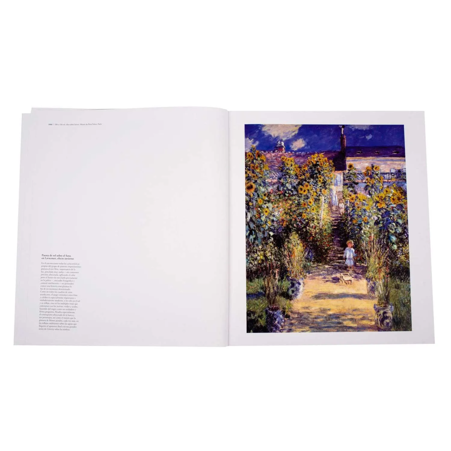 Monet 1 Tomo - Imagen 4