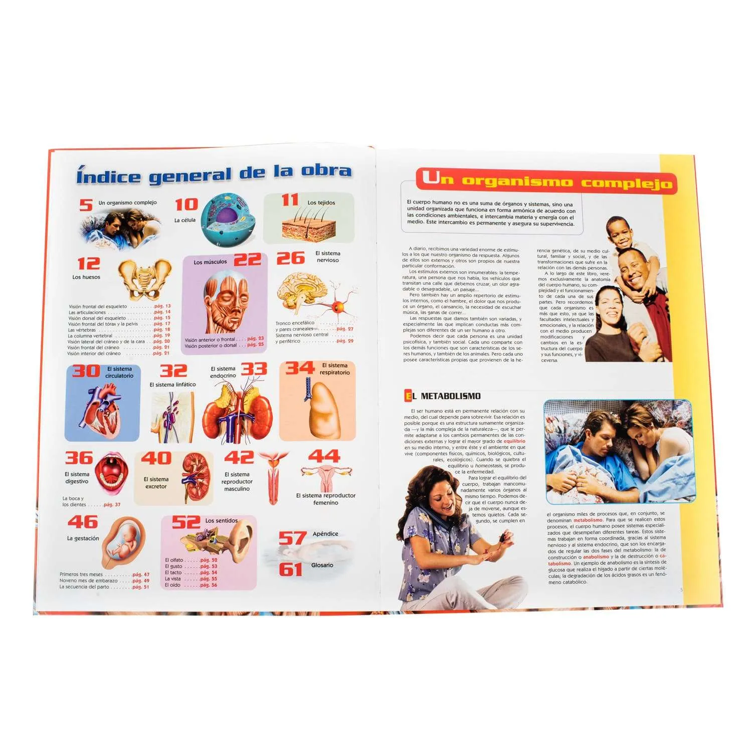 Atlas Visual Del Cuerpo Humano 1 Tomo - Imagen 4