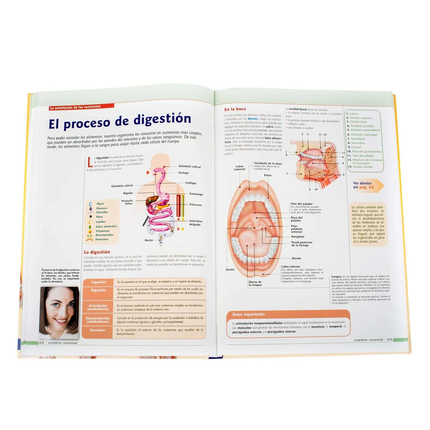 El Cuerpo Humano + Dvd - Imagen 2