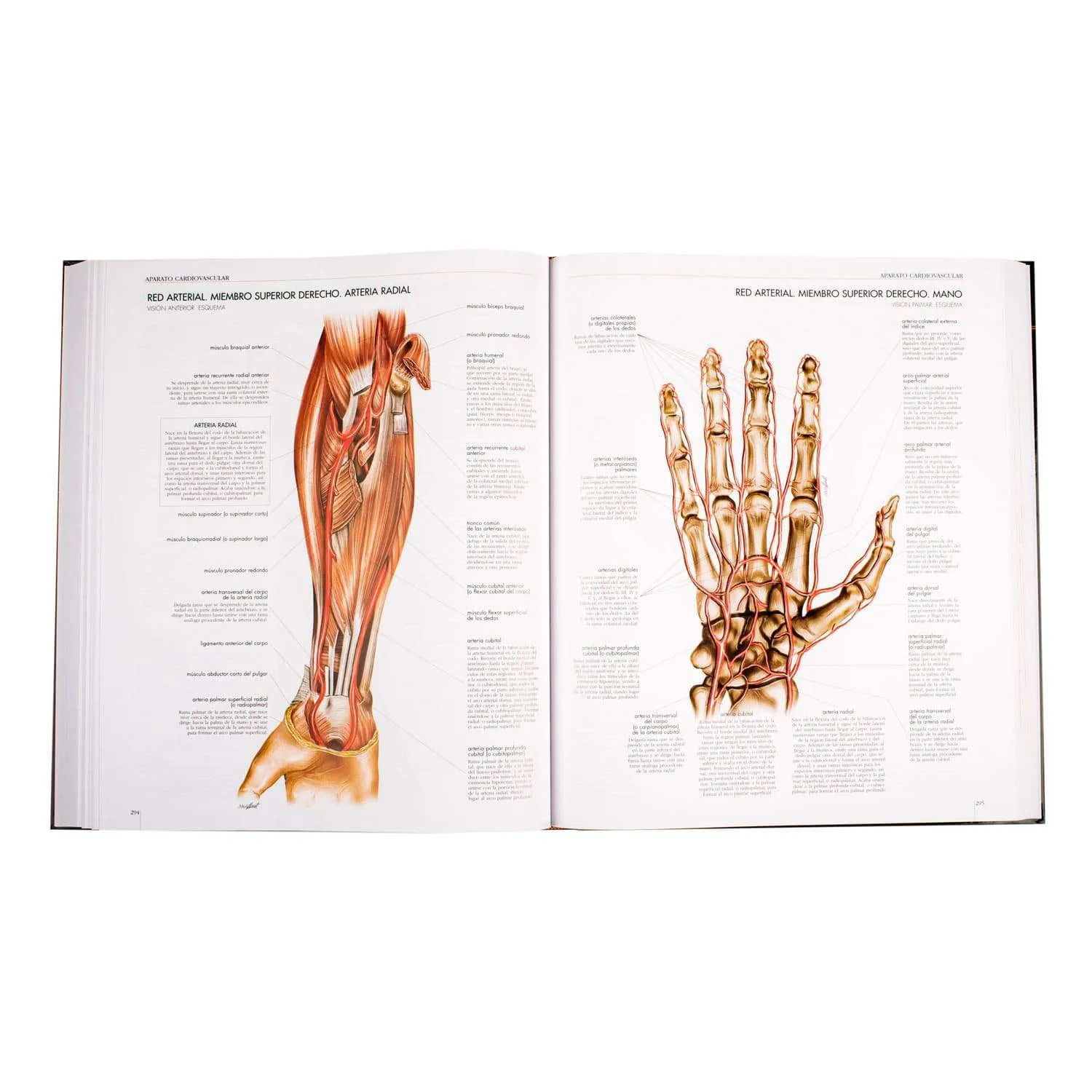 Atlas Del Cuerpo Humano 1 Tomo - Imagen 2