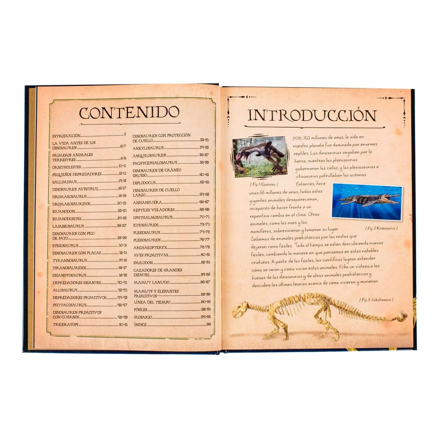 Colección De Huesos Dinosaurios 1 Tomo - Imagen 4