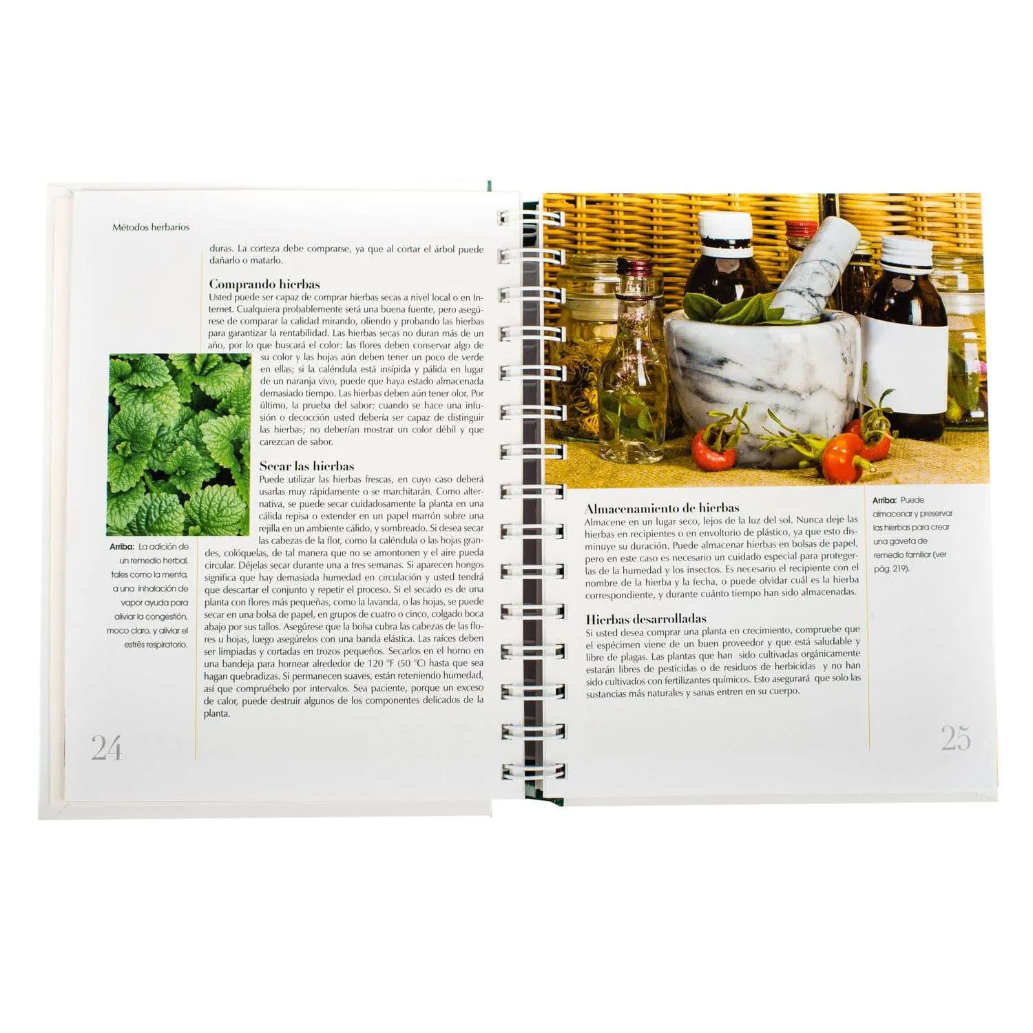 Plantas Medicinales Guia Practica 1 Tomo - Imagen 4