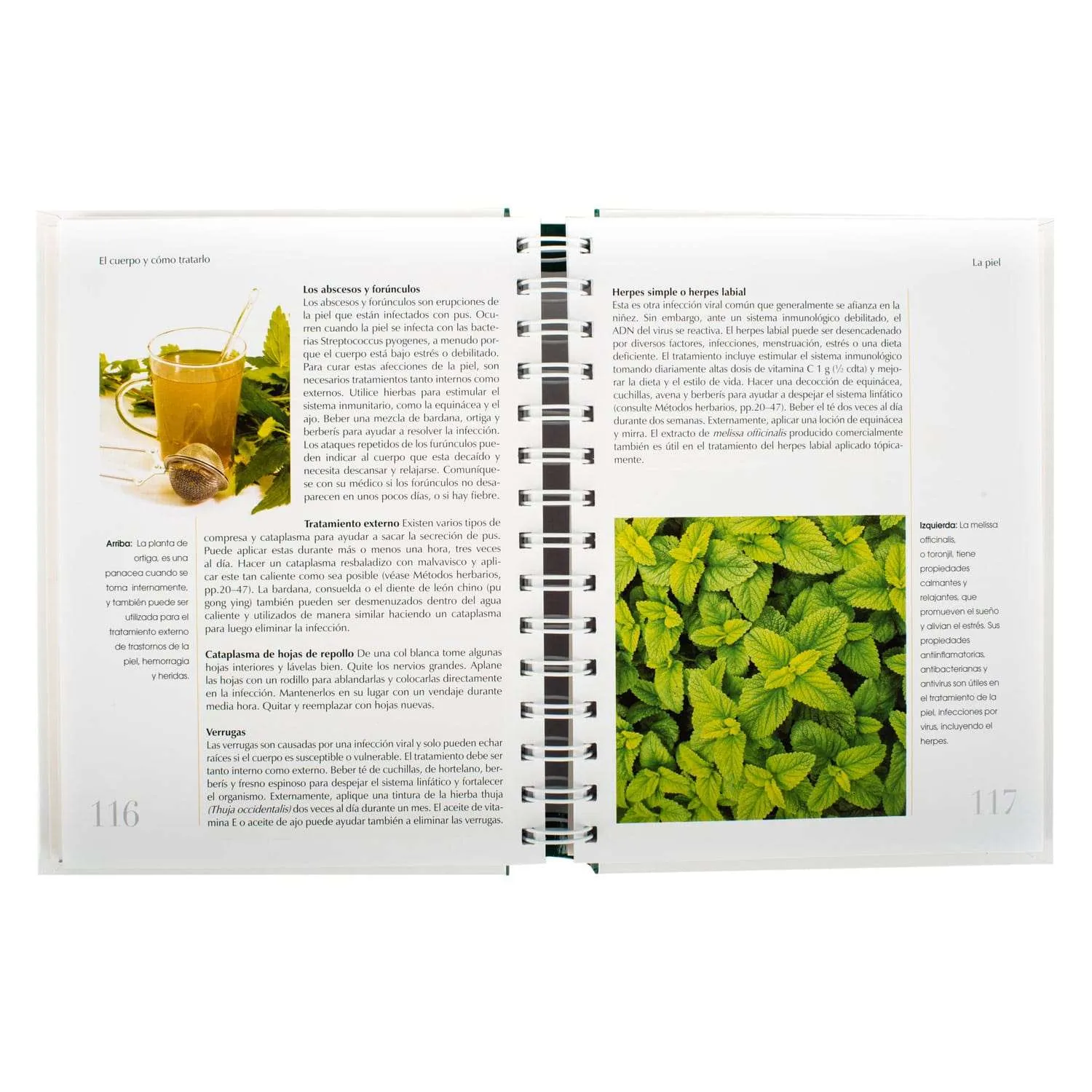 Plantas Medicinales Guia Practica 1 Tomo - Imagen 3