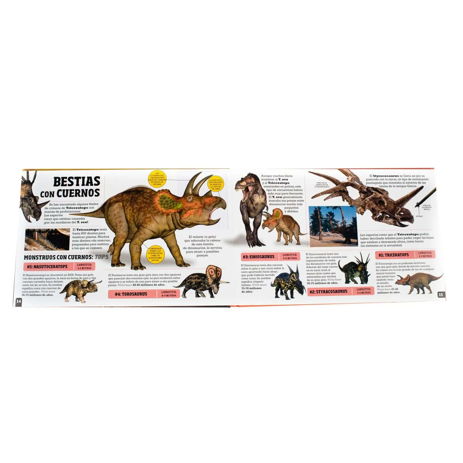 Scanorama Dinosaurios Desliza… Escanea… Y Descubre - Imagen 4