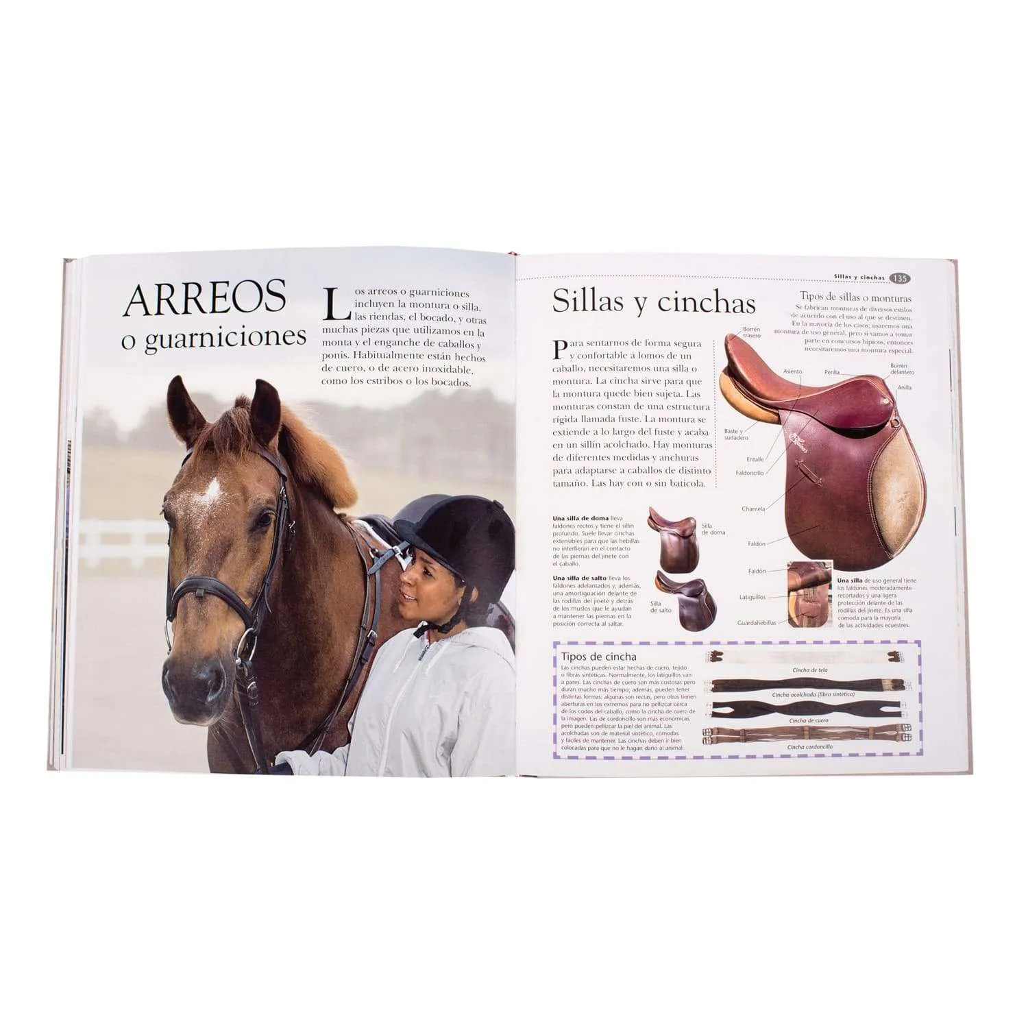 Atlas Ilustrado De Los Caballos Y Ponis 1 Tomo - Imagen 3