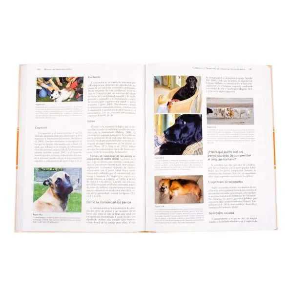 Manual De Medicina Canina 1 Tomo - Imagen 3