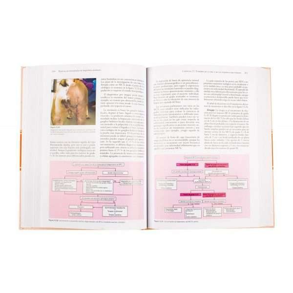 Manual De Oncologia En Pequeños Animales 1 Tomo - Imagen 4