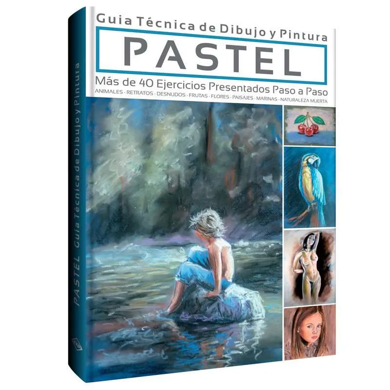 Pastel Guía Técnica De Dibujo Y Pintura 1 Tomo