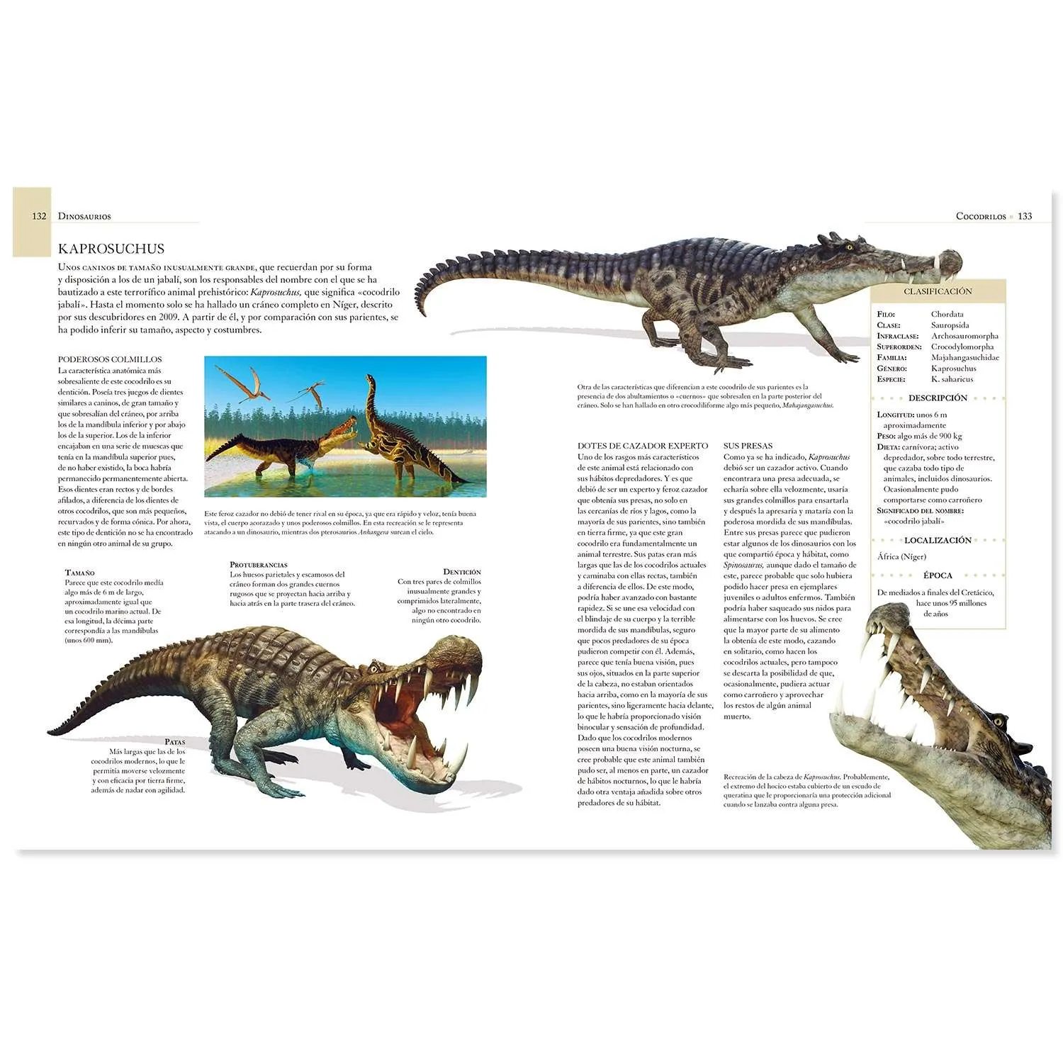 Enciclopedia Ilustrada De Los Dinosaurios - Imagen 4