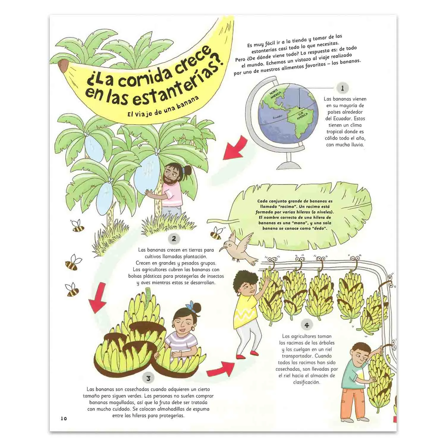 El Viaje De Las Cosas Cotidianas - Imagen 4