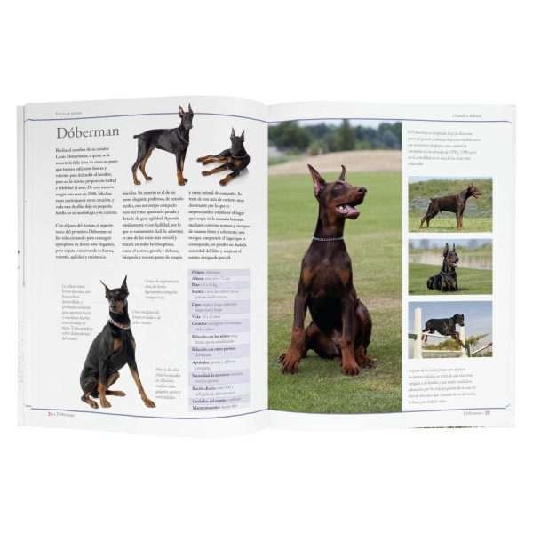Enciclopedia De Las Razas De Perros - Imagen 3