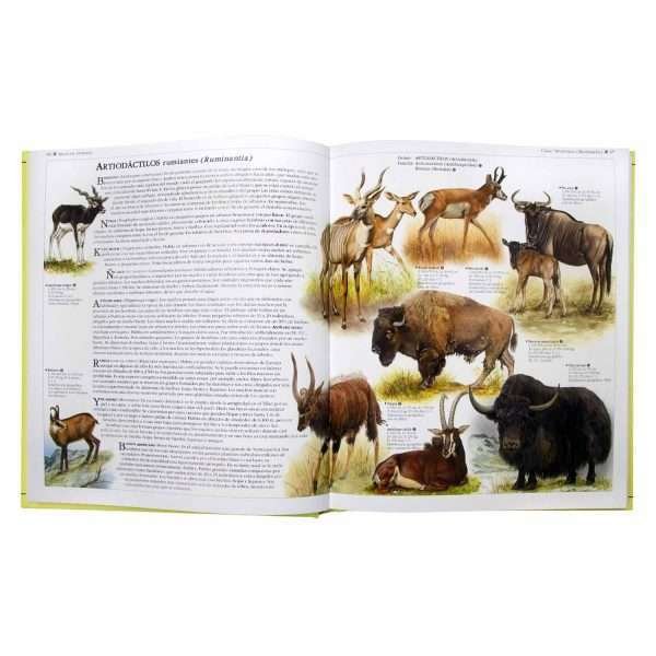 Atlas Ilustrado De Los Animales - Imagen 3