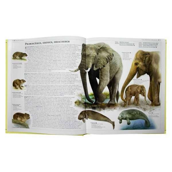 Atlas Ilustrado De Los Animales - Imagen 4