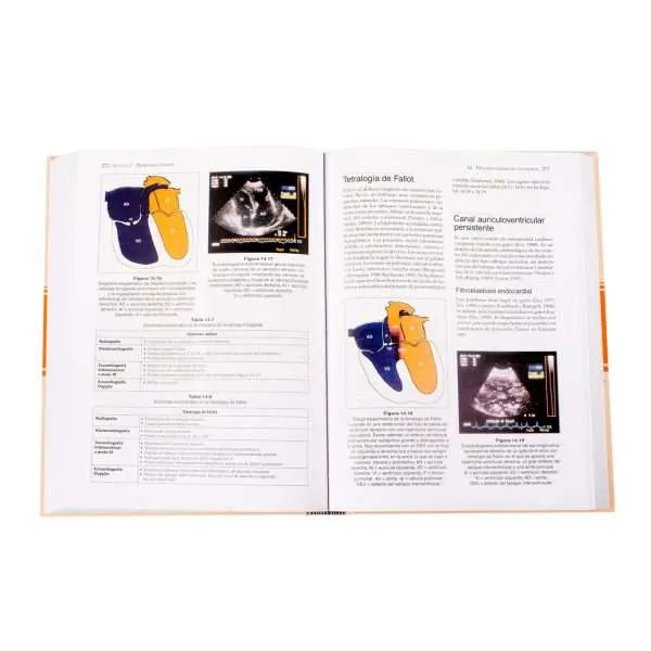 Manual De Medicina Y Cirugia Cardiorespiratorias En Pequeños Animales 1 Tomo - Imagen 4