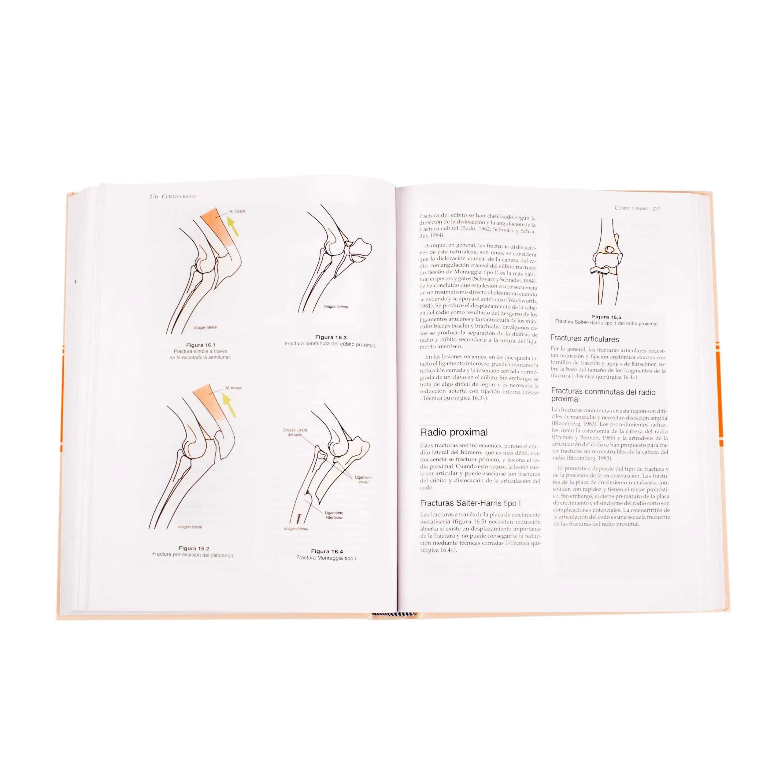 Manual De Reparacion Y Tratamiento De Fracturas En Pequeños Animales 1 Tomo - Imagen 4