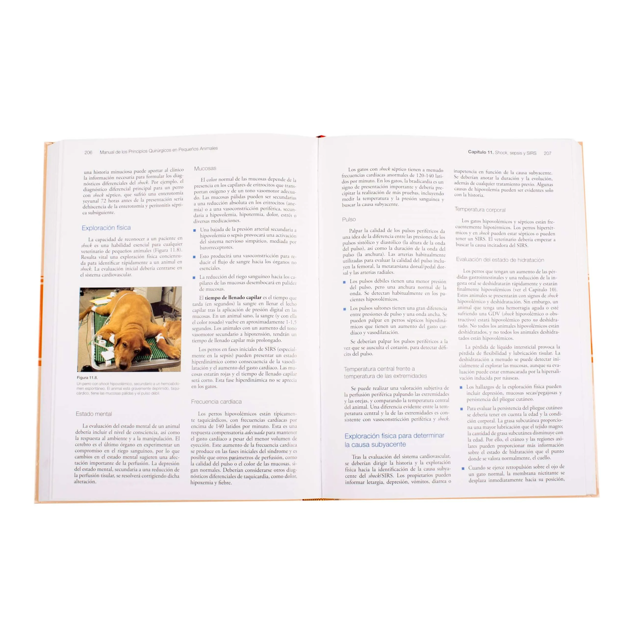 Manual De Principios Quirurgicos En Pequeños Animales 1 Tomo - Imagen 3