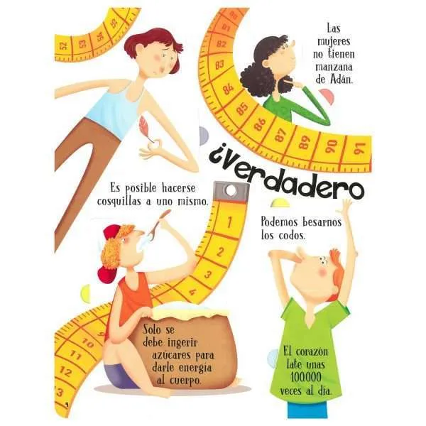 El Cuerpo Humano – Libro Levanta Tapitas - Imagen 4