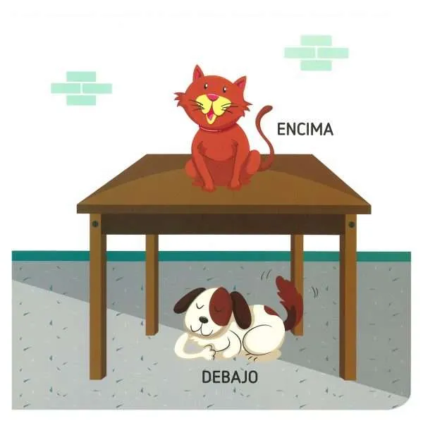 Mi Primer Libro de Opuestos - Imagen 2