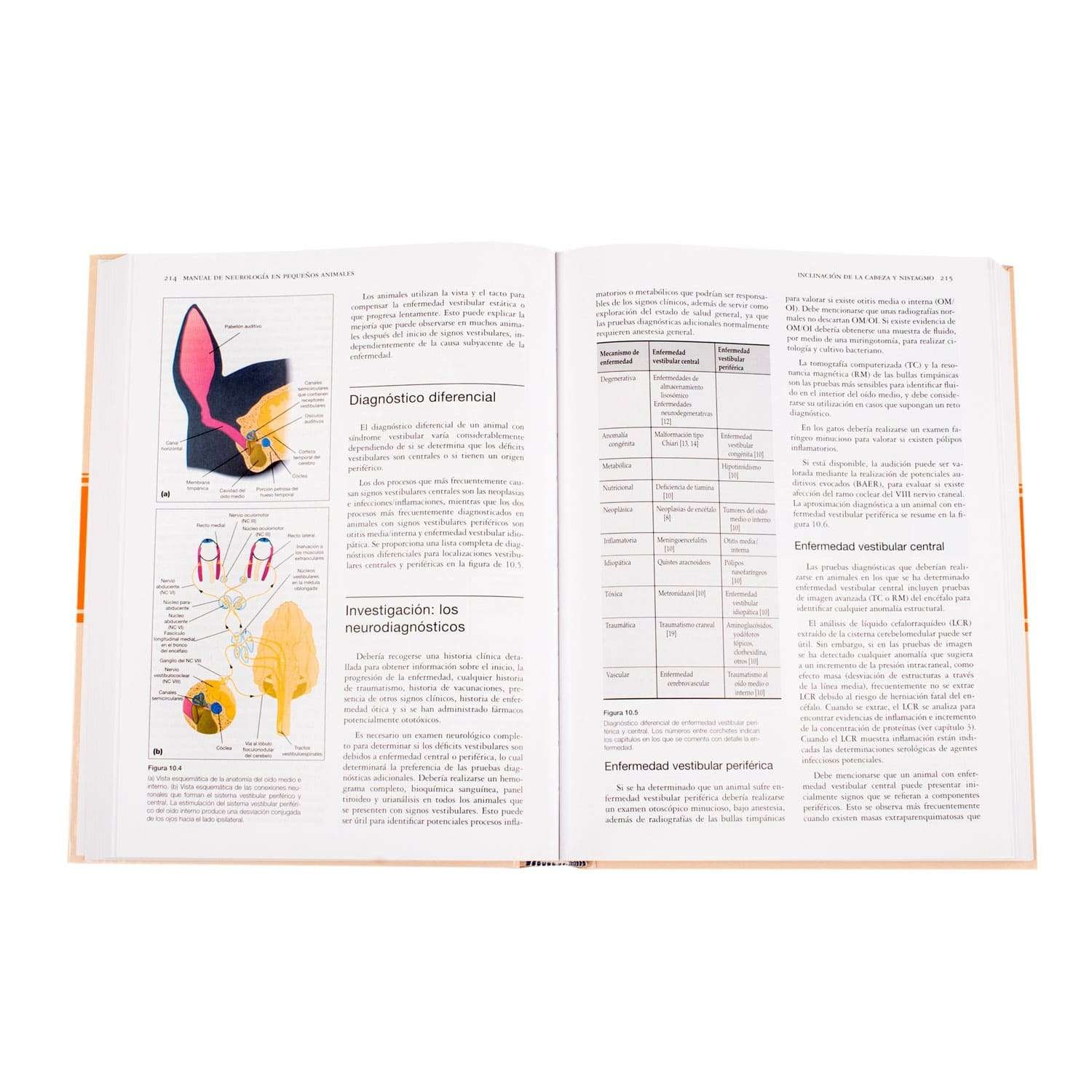 Manual de Neurología - Imagen 2
