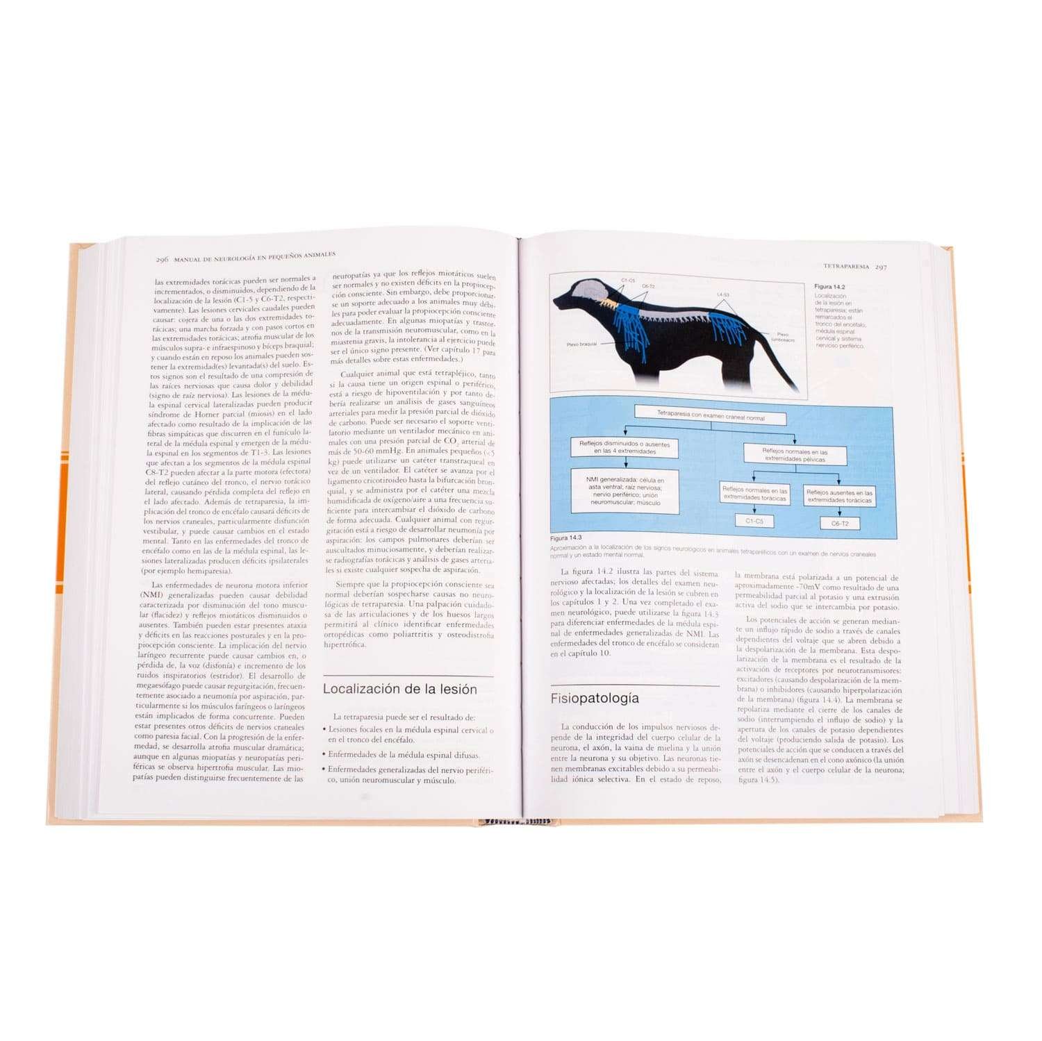 Manual de Neurología - Imagen 3
