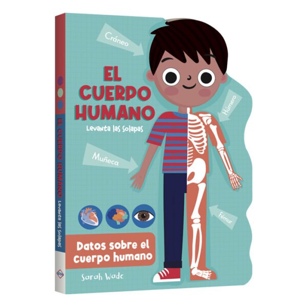 Cuerpo Humano – Libro con Solapas