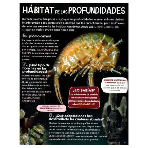 Criaturas de las Profundidades – 100 Preguntas y Respuestas - Imagen 2