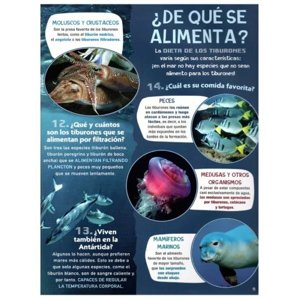 Todo sobre los Tiburones – 100 Preguntas y Respuestas - Imagen 2