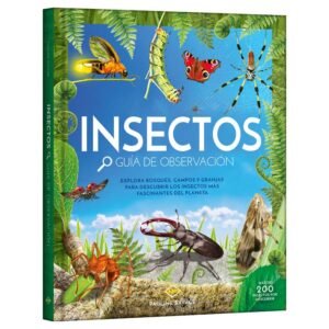 Insectos - Guía de Observación